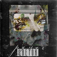 Цветок - Single - Румах