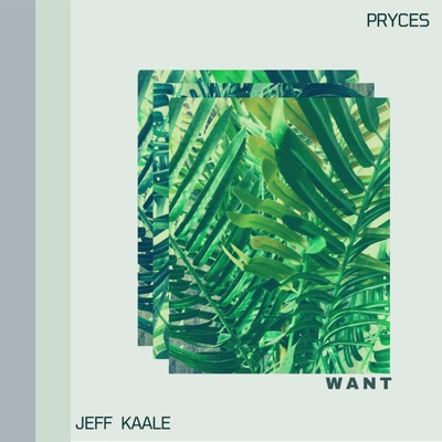 Want (feat. Jeff Kaale) - Single