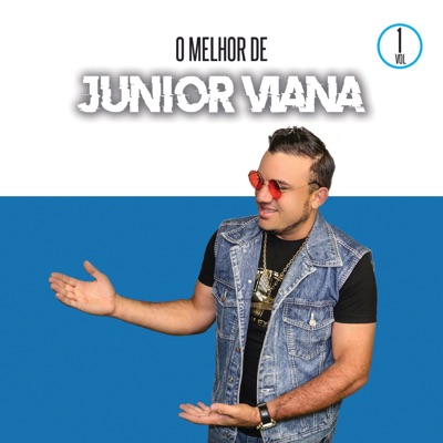 O Melhor de Junior Vianna