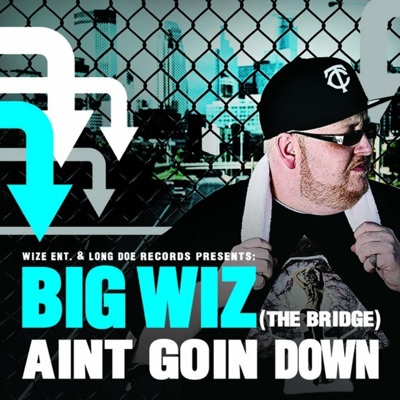 (The Bridge) Ain't Goin' Down