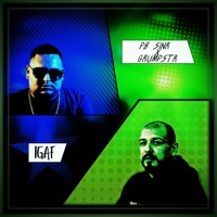 IDGAF (feat. Grumpstr) - Single - PB Sinr