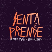 Senta e Prende - Single - Dj Pedro Azevedo & DJ Victor Falcao