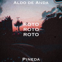Roto - Single - Pineda & Aldo de Anda