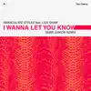 Immaculate Styles - I Wanna Let You Know (feat. Lisa Shaw) [Sebb Junior Remix]