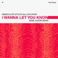 I Wanna Let You Know (feat. Lisa Shaw) [Sebb Junior Remix]