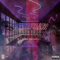 Why Not (feat. Falcon the God) - Single - Stig da Artist