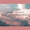 What a Wonderful World - Single