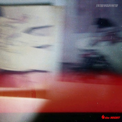 4 The Night - Single