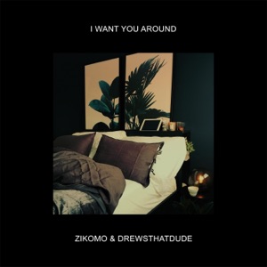 I Want You Around - Single