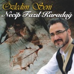 Özledim Seni