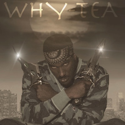 Next Level (feat. Amin Knaledge) - Single