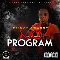 No Program - Single - Prince Swanny