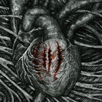 ČTYŘI ČÁRY - ALFNZ & HerPiss