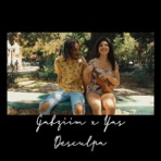 Desculpa - Single