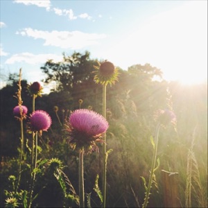 Even This Is Going to Pass (feat. Lori McKenna & Natalia Zukerman) - Single