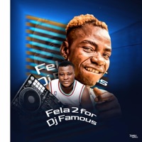 OGO IBEFUN (feat. DJ Famous) - Single - Fela 2