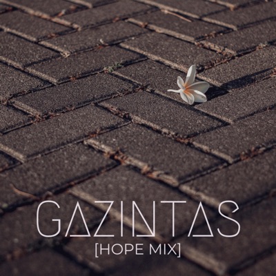 Gazintas (Hope Mix) - Single