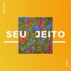 Seu Jeito - Single