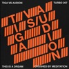 Tiga & Audion