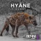 Keine Sorgen - Benni lyrics