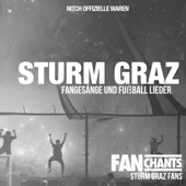 Sturm, Graz! artwork