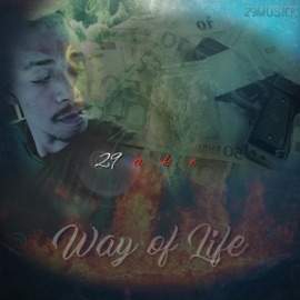 Way of Life 29ake