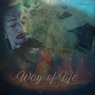Way of Life - Single