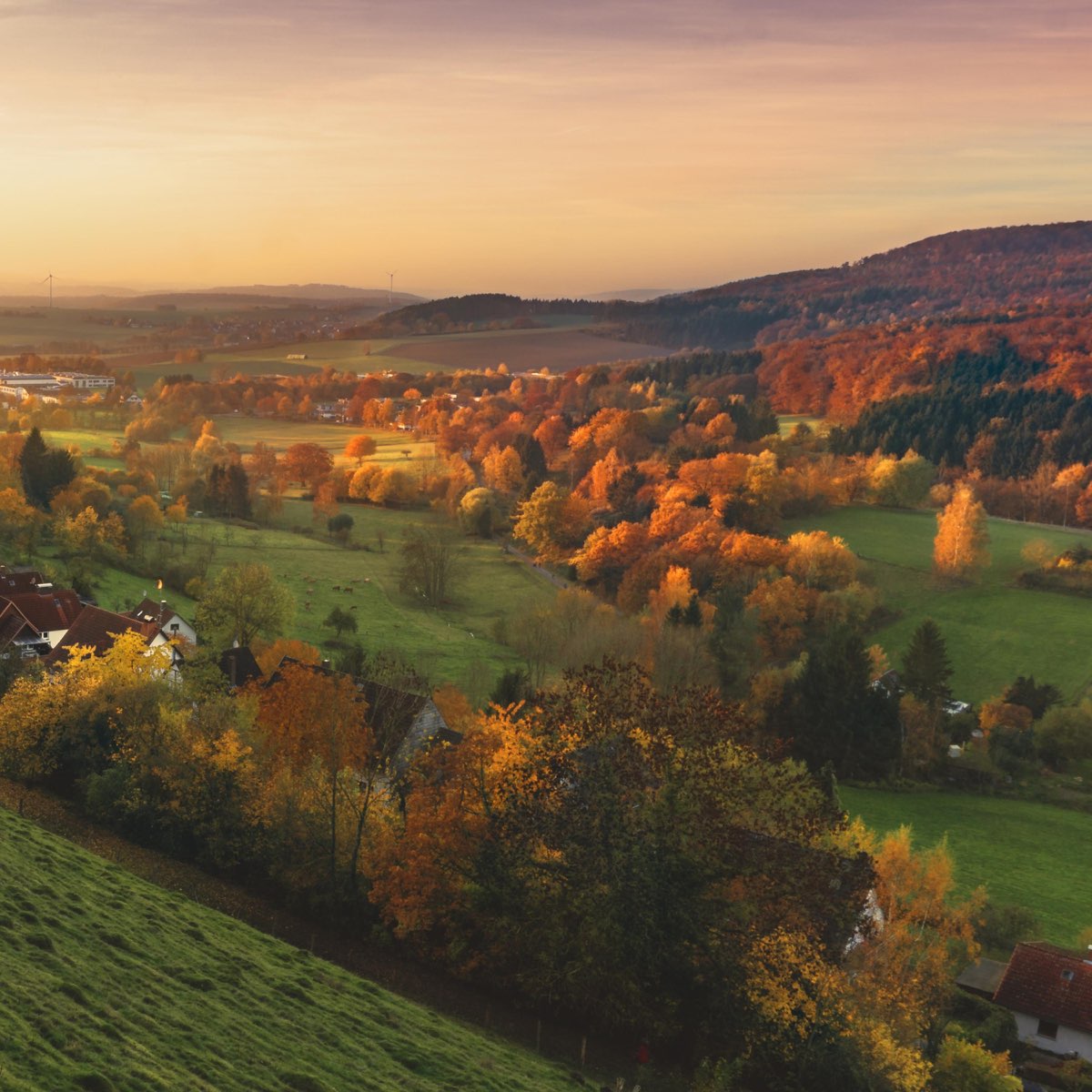 Quiet countryside. Country Life. Country Life слушать. Quiet Days in the countryside.