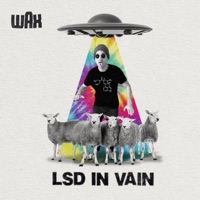 LSD in Vain - Single - Wax