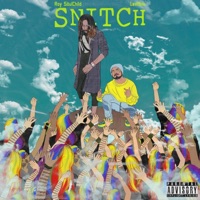 Snitch (feat. Levl9ne) - Single - Roy SöulChild