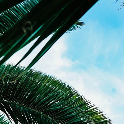 Way Up (feat. Joey Gutos & Maximilian Gorpage) - Single