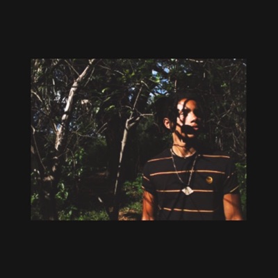 Supreme Dreamz - Single