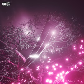 BIO (feat. TWMP89) VOOICE