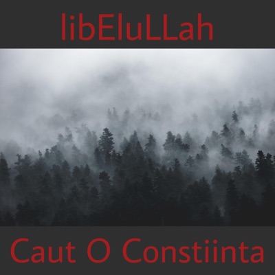 Caut O Constiinta - Single
