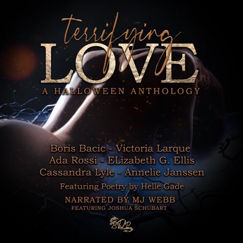 Terrifying Love: BDP Anthologies, Book 1 (Unabridged) cover