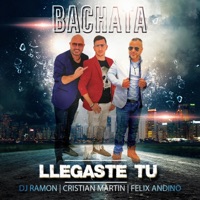 Llegaste Tu - Single - Cristian Martin, DJ Ramon & Felix Andino