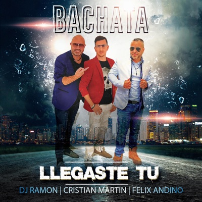 Llegaste Tu - Single