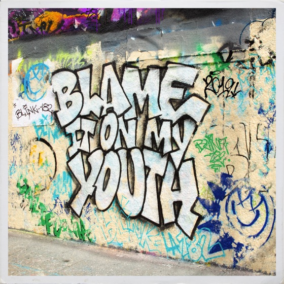 Cover artwork for Blame It On My Youth