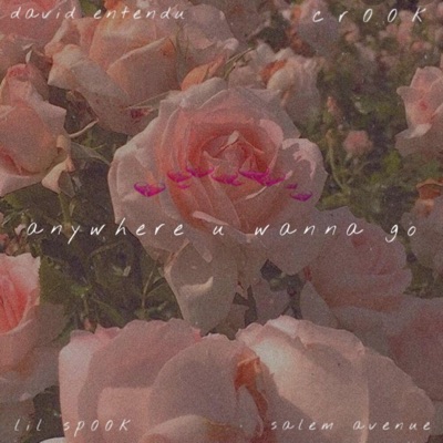 Anywhere U Wanna Go (feat. Cr00k, David Entendu & Salem Avenue) - Single