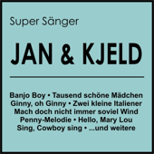 Super Sänger