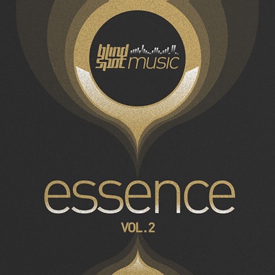 Blind Spot Essence, Vol. 2