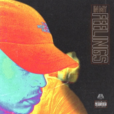 In My Feelings - Single