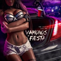 Vámonos de Fiesta - Single - Jota Eme & Thecocolin