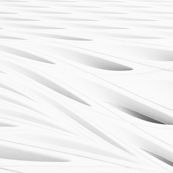 Vector 1