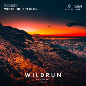 Where the Sun Goes - Single
