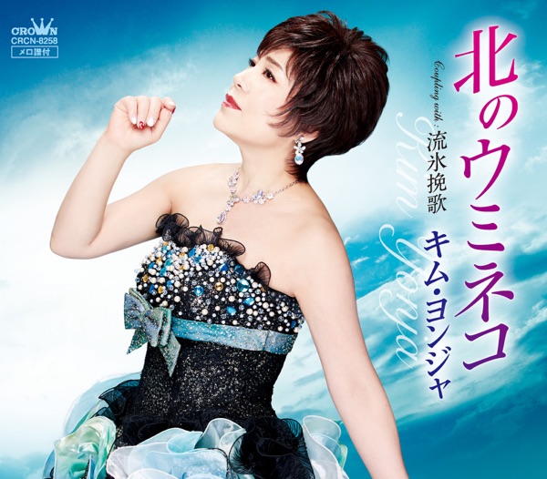 北のウミネコ/流氷挽歌 - EP