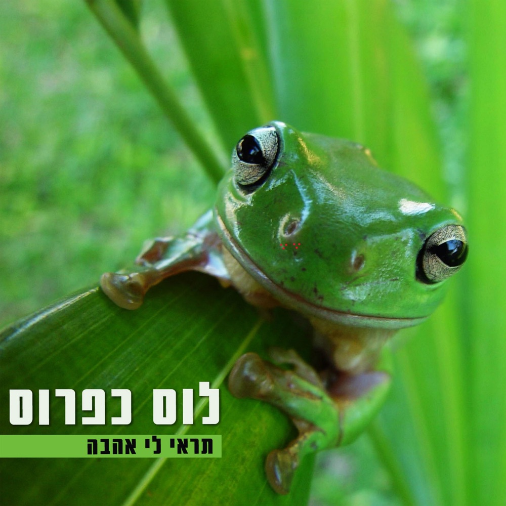 Обложка альбома «תראי לי אהבה (feat. Anton Koliadko) - Single» — Los Caparos