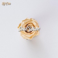 Soul Wave - Single - DJ CZA