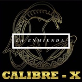 La Enmienda - EP artwork