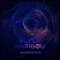Wormhole (Radio Edit) - Blvck Karibou lyrics